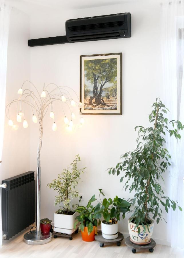 Divia Apartment Rijeka Exterior photo